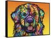 Newfie-Dean Russo-Framed Stretched Canvas