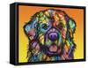 Newfie-Dean Russo-Framed Stretched Canvas