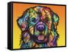 Newfie-Dean Russo-Framed Stretched Canvas