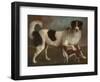 Newfoundland and Spaniel in a Coastal Landscape-null-Framed Giclee Print