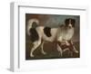 Newfoundland and Spaniel in a Coastal Landscape-null-Framed Giclee Print