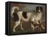 Newfoundland and Spaniel in a Coastal Landscape-null-Framed Stretched Canvas