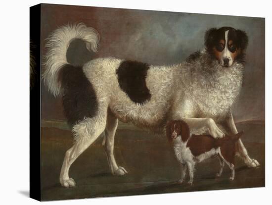 Newfoundland and Spaniel in a Coastal Landscape-null-Stretched Canvas
