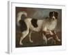 Newfoundland and Spaniel in a Coastal Landscape-null-Framed Giclee Print