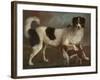 Newfoundland and Spaniel in a Coastal Landscape-null-Framed Giclee Print