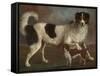 Newfoundland and Spaniel in a Coastal Landscape-null-Framed Stretched Canvas