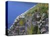 Newfoundland, Cape Saint Mary's Ecological Reserve-John Barger-Stretched Canvas