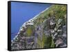 Newfoundland, Cape Saint Mary's Ecological Reserve-John Barger-Framed Stretched Canvas