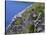Newfoundland, Cape Saint Mary's Ecological Reserve-John Barger-Stretched Canvas