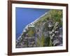 Newfoundland, Cape Saint Mary's Ecological Reserve-John Barger-Framed Photographic Print