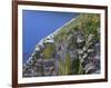 Newfoundland, Cape Saint Mary's Ecological Reserve-John Barger-Framed Photographic Print