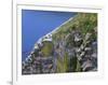 Newfoundland, Cape Saint Mary's Ecological Reserve-John Barger-Framed Photographic Print