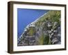 Newfoundland, Cape Saint Mary's Ecological Reserve-John Barger-Framed Photographic Print