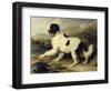 Newfoundland Dog Called Lion, 1824-Edwin Henry Landseer-Framed Giclee Print