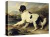 Newfoundland Dog Called Lion, 1824-Edwin Henry Landseer-Stretched Canvas