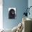 Newfoundland Dog-null-Mounted Photographic Print displayed on a wall