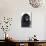 Newfoundland Dog-null-Mounted Photographic Print displayed on a wall