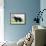 Newfoundland Dog-null-Framed Photographic Print displayed on a wall