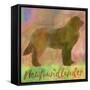 Newfoundlander Dog-Cora Niele-Framed Stretched Canvas