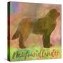 Newfoundlander Dog-Cora Niele-Stretched Canvas