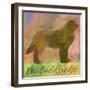 Newfoundlander Dog-Cora Niele-Framed Giclee Print