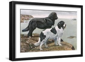 Newfoundlands by Water-Louis Agassiz Fuertes-Framed Art Print