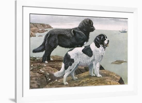 Newfoundlands by Water-Louis Agassiz Fuertes-Framed Art Print