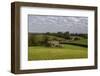 Newgrange, County Meath, Leinster, Republic of Ireland, Europe-Carsten Krieger-Framed Photographic Print