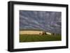 Newgrange, UNESCO World Heritage Site, County Meath, Leinster, Republic of Ireland, Europe-Carsten Krieger-Framed Photographic Print