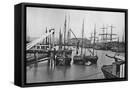 Framed Canvas