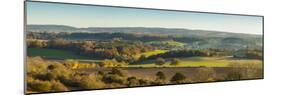 Newlands Corner, Guildford, North Downs, Surrey, England, UK-Jon Arnold-Mounted Photographic Print