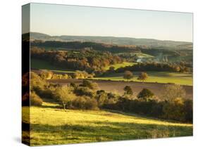 Newlands Corner, Guildford, North Downs, Surrey, England, UK-Jon Arnold-Stretched Canvas