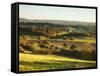 Newlands Corner, Guildford, North Downs, Surrey, England, UK-Jon Arnold-Framed Stretched Canvas