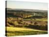 Newlands Corner, Guildford, North Downs, Surrey, England, UK-Jon Arnold-Stretched Canvas