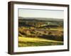 Newlands Corner, Guildford, North Downs, Surrey, England, UK-Jon Arnold-Framed Photographic Print