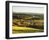 Newlands Corner, Guildford, North Downs, Surrey, England, UK-Jon Arnold-Framed Photographic Print