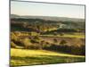 Newlands Corner, Guildford, North Downs, Surrey, England, UK-Jon Arnold-Mounted Photographic Print