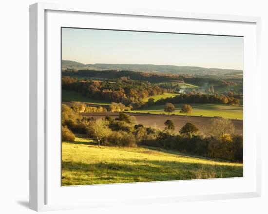 Newlands Corner, Guildford, North Downs, Surrey, England, UK-Jon Arnold-Framed Photographic Print