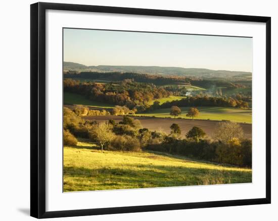 Newlands Corner, Guildford, North Downs, Surrey, England, UK-Jon Arnold-Framed Photographic Print