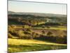 Newlands Corner, Guildford, North Downs, Surrey, England, UK-Jon Arnold-Mounted Photographic Print