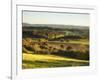 Newlands Corner, Guildford, North Downs, Surrey, England, UK-Jon Arnold-Framed Photographic Print