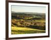 Newlands Corner, Guildford, North Downs, Surrey, England, UK-Jon Arnold-Framed Photographic Print