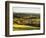 Newlands Corner, Guildford, North Downs, Surrey, England, UK-Jon Arnold-Framed Photographic Print