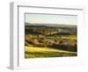 Newlands Corner, Guildford, North Downs, Surrey, England, UK-Jon Arnold-Framed Photographic Print