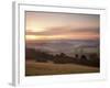 Newlands Corner View at Dawn, Near Guilford, Surrey Hills, North Downs, Surrey, England, United Kin-John Miller-Framed Photographic Print