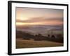 Newlands Corner View at Dawn, Near Guilford, Surrey Hills, North Downs, Surrey, England, United Kin-John Miller-Framed Photographic Print