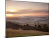Newlands Corner View at Dawn, Near Guilford, Surrey Hills, North Downs, Surrey, England, United Kin-John Miller-Mounted Photographic Print