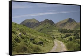 Newlands Valley, Lake District, Cumbria, England, United Kingdom-James Emmerson-Framed Stretched Canvas