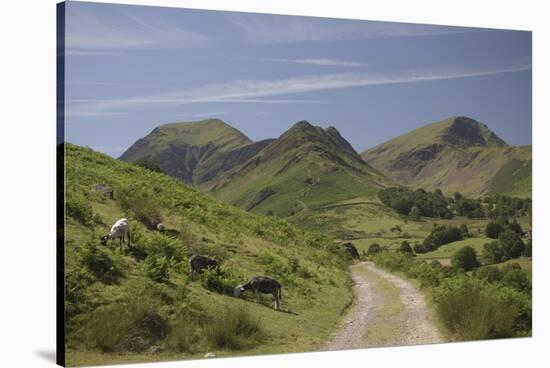 Newlands Valley, Lake District, Cumbria, England, United Kingdom-James Emmerson-Stretched Canvas