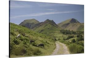 Newlands Valley, Lake District, Cumbria, England, United Kingdom-James Emmerson-Stretched Canvas